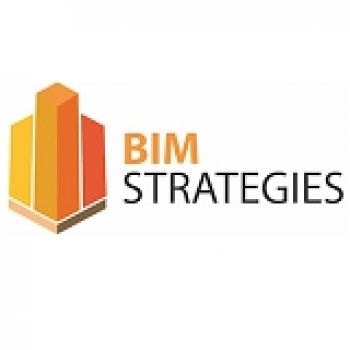Bim Strategies