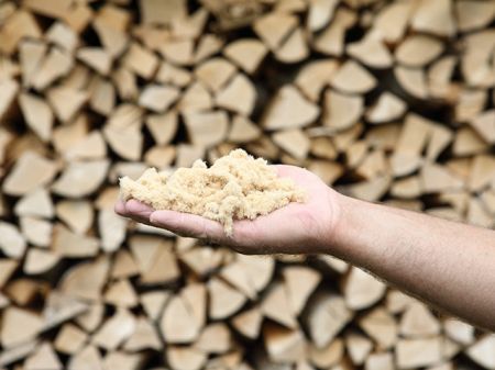 La fibre de bois pour une rnovation biosource