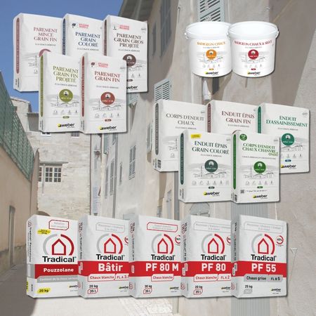 Comment rénover et réparer le bâti ancien et contemporain Comment rénover et réparer le bâti ancien et contemporain
