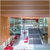Bois de placage nano-perfor Hunter Douglas pour les plafonds et murs de l'Amity University