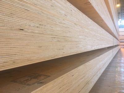 LVL Sylva - Eléments de structure bois massif 