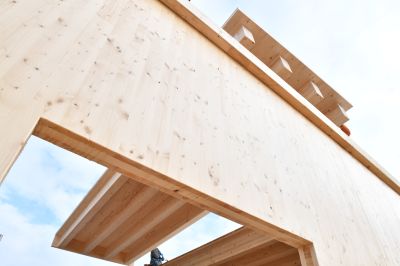 Panneau nervuré Sylva - Eléments de structure bois massif 
