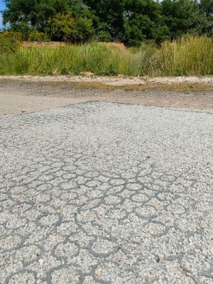 DALLE Ecovegetal E80 POIDS LOURDS - Stationnement et voirie pl