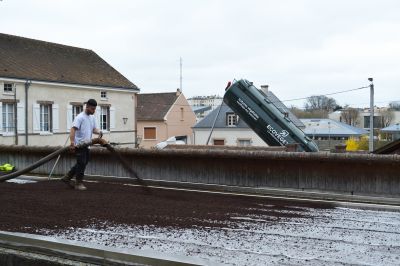 SUBSTRATS EN SILO - Toiture végétale