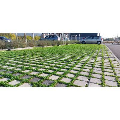 Hydrojoint 5 - Pavé drainant avec écarteur de 5 