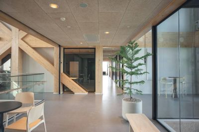 Sonvika Optima - Plafond acoustique suspendu classe A
