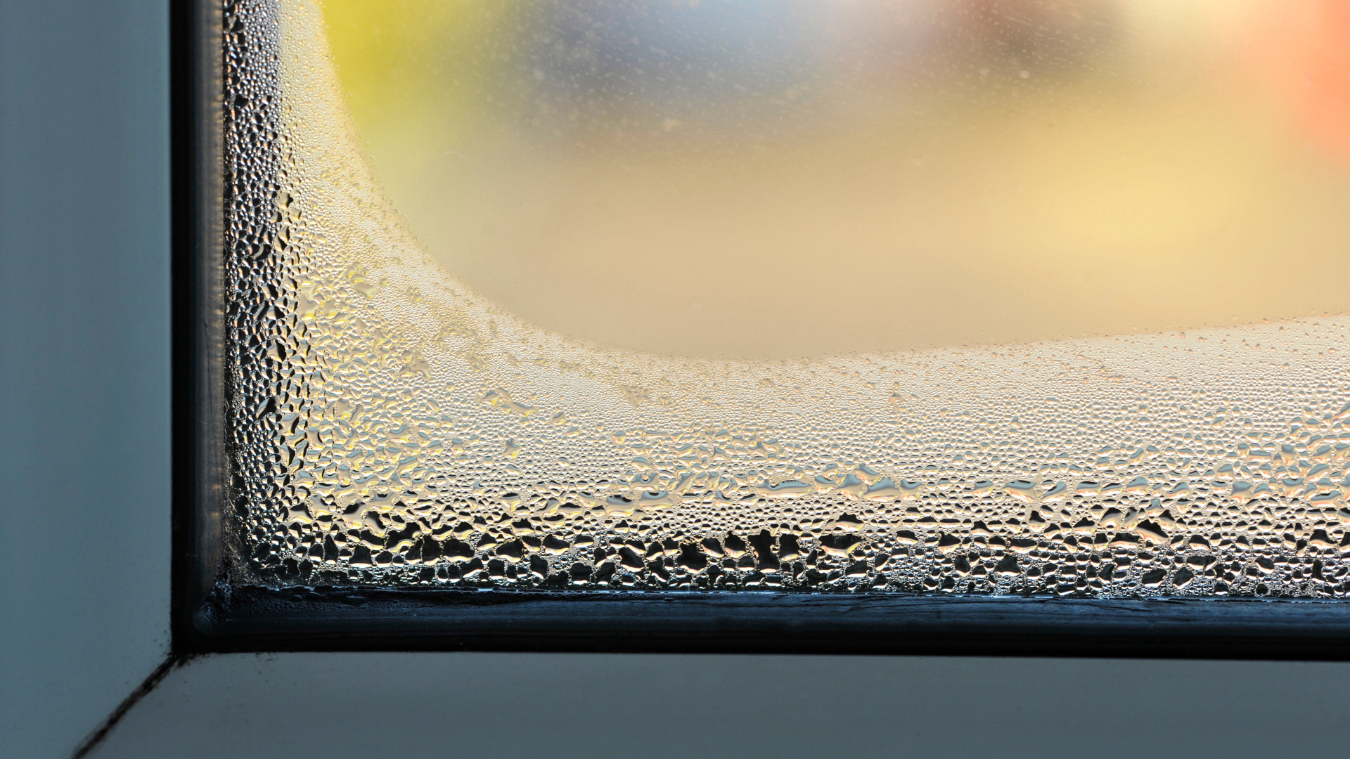 Condensation : les risques et comment s'en débarrasser ?