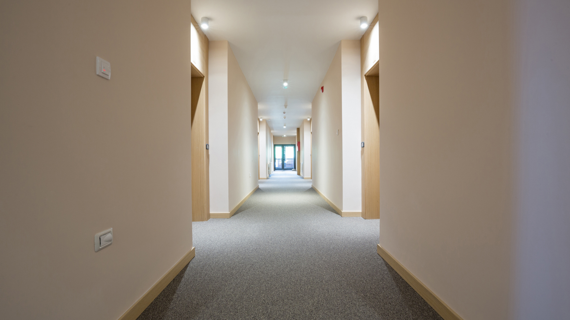 Relamping en copropriété : une solution simple pour consommer moins et mieux éclairer