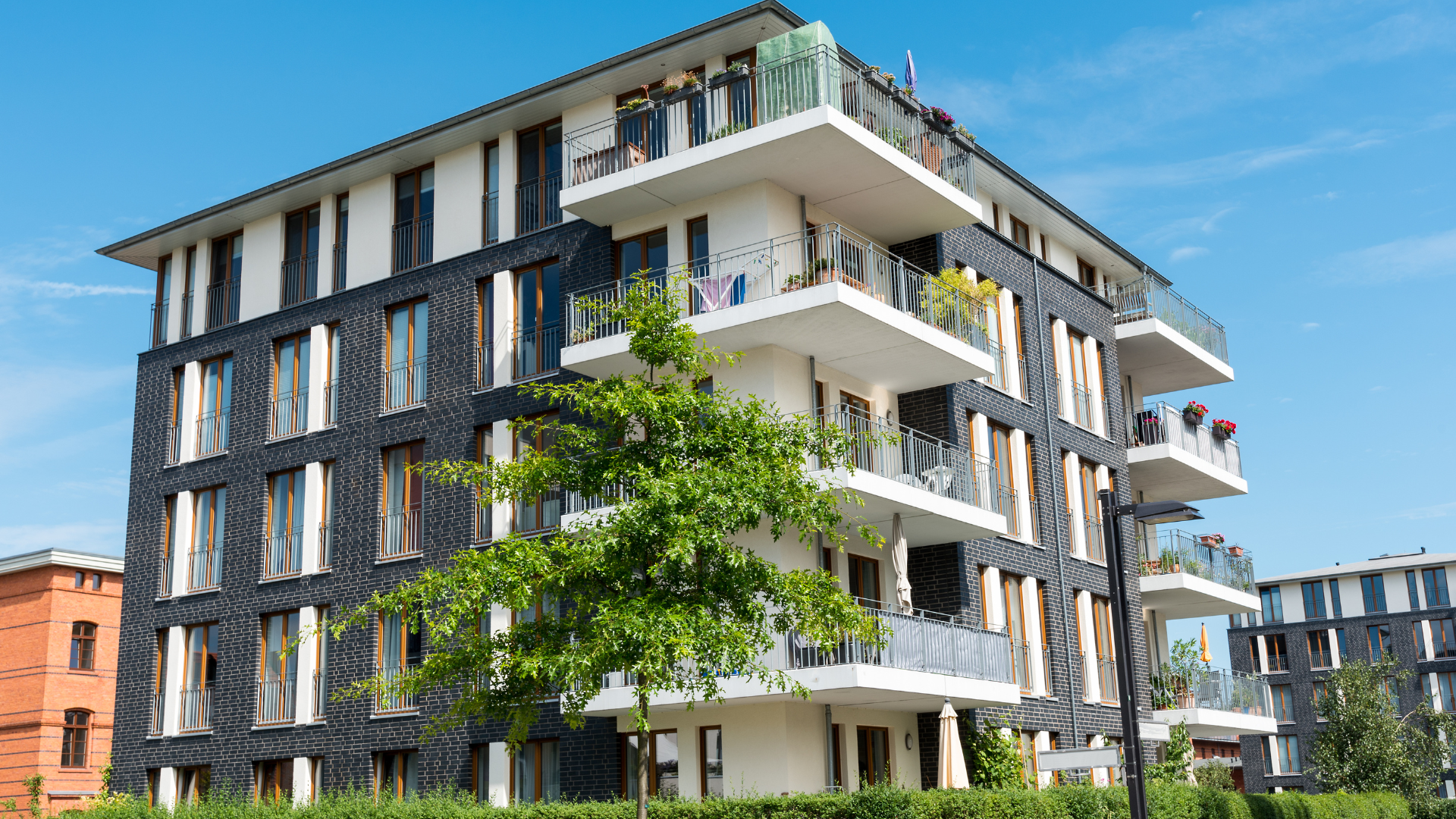 Les Copros Vertes : qu'est-ce que c'est ?