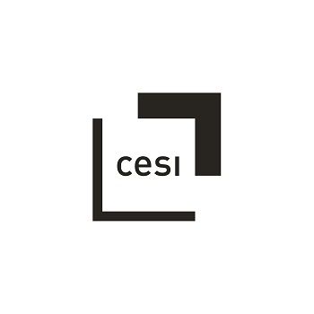 Cesi Entreprises