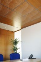 Innovation Placo : Coratone™, la première dalle de plafonds finition bois esthétique et acoustique !