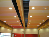 Mettez de la couleur  vos plafonds avec Eurocoustic