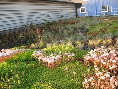 Les solutions MEPLE pour les Terrasses et Toitures Végétalisées 
