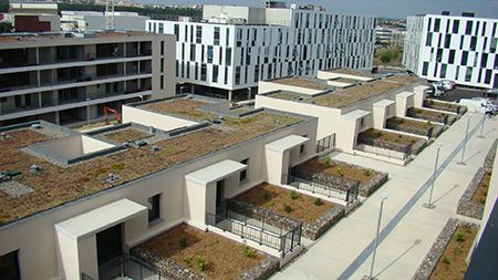 Les solutions MEPLE pour les Terrasses et Toitures Végétalisées 