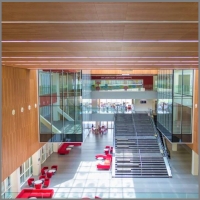 Bois de placage nano-perfor Hunter Douglas pour les plafonds et murs de l'Amity University