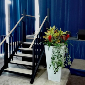 Le Flexstep ORONA Alma, escalier et élévateur à la fois