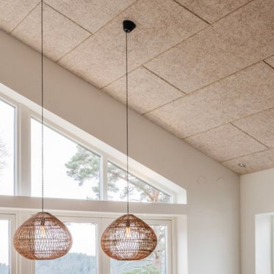Panneaux acoustiques en laine de bois : design naturel et performance durable 
