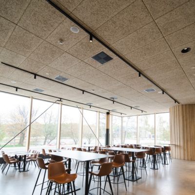 Panneaux acoustiques en laine de bois : design naturel et performance durable