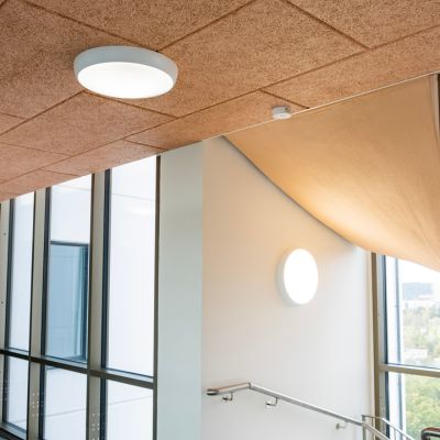 Panneaux acoustiques en laine de bois : design naturel et performance durable