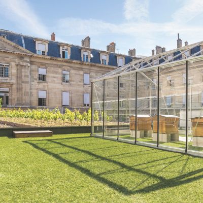 Gestion des eaux pluviales pour toiture-terrasse