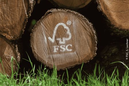 RE2020 et biodiversité : le bois FSC, choix stratégique du gros oeuvre