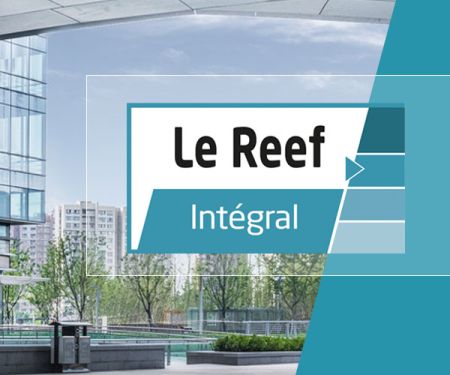 Aidez-vous du Reef et de Bati CTTP pour tous vos projets de rénovation
