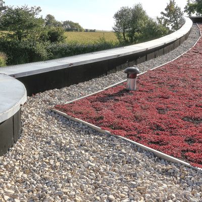 Rénovation énergétique, EPDM et toitures végétalisées : l'alliance durable