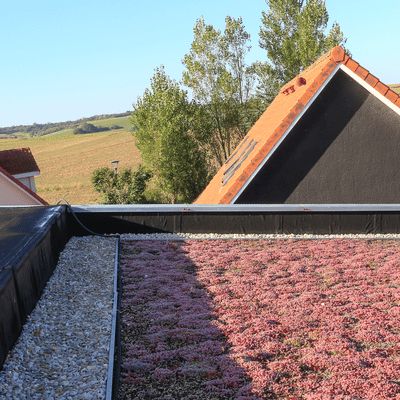 Rénovation énergétique, EPDM et toitures végétalisées : l'alliance durable