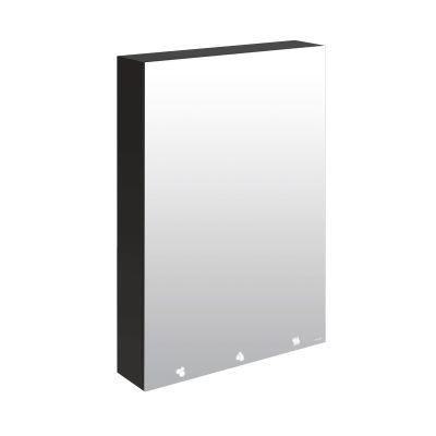 L'armoire miroir 4 fonctions, une solution tout-en-un pour des sanitaires plus autonomes