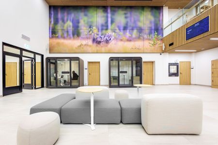 Rockfon Canva : l'acoustique murale devient un élément de design assumé