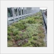 Graviland Expert et Graviland Tech, service compris pour la toiture-terrasse végétalisée