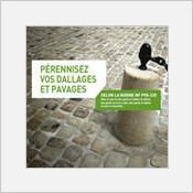 Embellir votre environnement urbain tout en pérennisant vos dallages et pavages ?