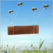 Eco-Plaquettes de parement