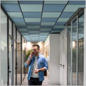 Le plafond acoustique idéal pour une confidentialité optimale 