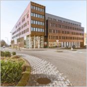 Chameleon - Panneau décoratif de façade