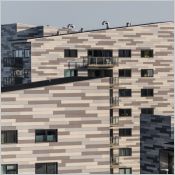 Rockpanel Woods Textured - Panneau de façade