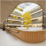 Sonvika® Linear - Plafond acoustique au motif linéaire