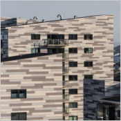 Rockpanel Woods Textured - Panneau de façade