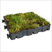 ECOVEGETAL MOUSSES - Parking perm&eacute;able v&eacute;g&eacute;talis&eacute;