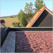 R&eacute;novation &eacute;nerg&eacute;tique, EPDM et toitures v&eacute;g&eacute;talis&eacute;es : l'alliance durable