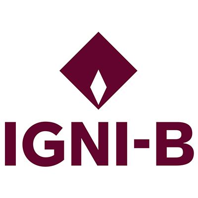 Technologie IGNI-B - Bois ignifug euroclasse b ou m1
