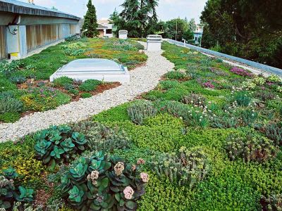 Iglu' Green Roof - Systmes pour jardins suspendus