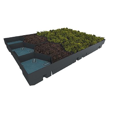 Botanipack - Végétalisation des toitures terrasses