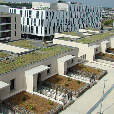 IKO SEMPERVIVUM - Systèmes pour toitures végétalisées