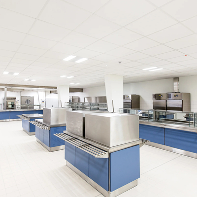 HYGENA TOPIQ Alpha 20 - Dalle de plafond laminée