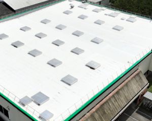 Solutions avancées de rénovation de toitures pour les projets pharmaceutiques