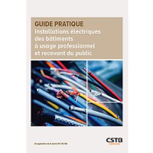 Installations électriques des bâtiments à usage professionnel et recevant du public
